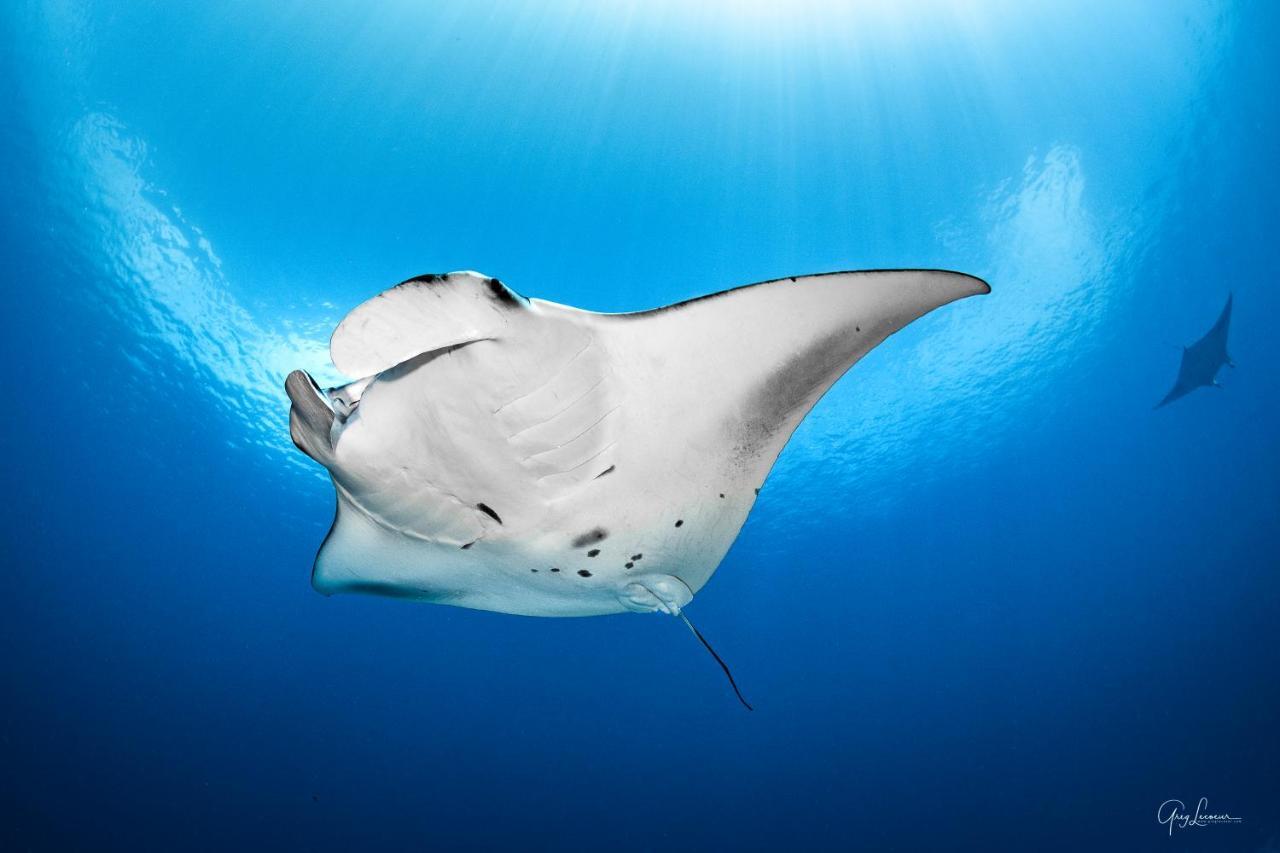 Shangri-La'S Villingili Resort And Spa, Maldives アッドゥ環礁 エクステリア 写真